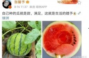 有什么娱乐圈瓜可以吃